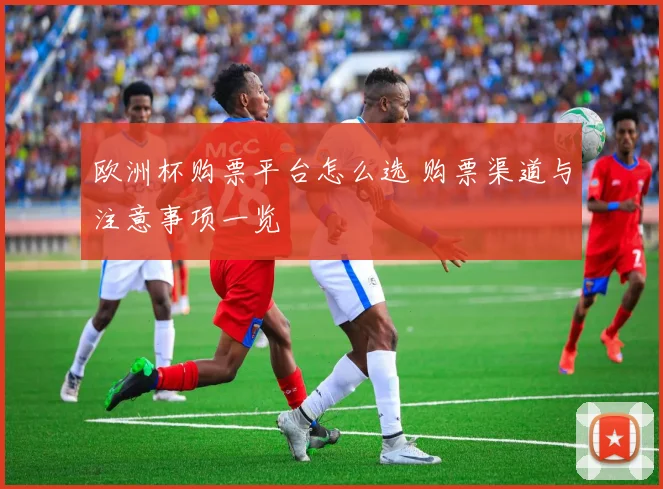 欧洲杯购票平台怎么选 购票渠道与注意事项一览