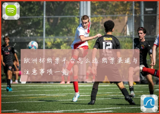 欧洲杯购票平台怎么选 购票渠道与注意事项一览