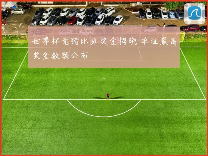世界杯竞猜比分奖金揭晓 单注最高奖金数额公布
