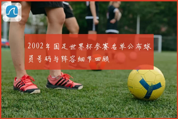 2002年国足世界杯参赛名单公布球员号码与阵容细节回顾