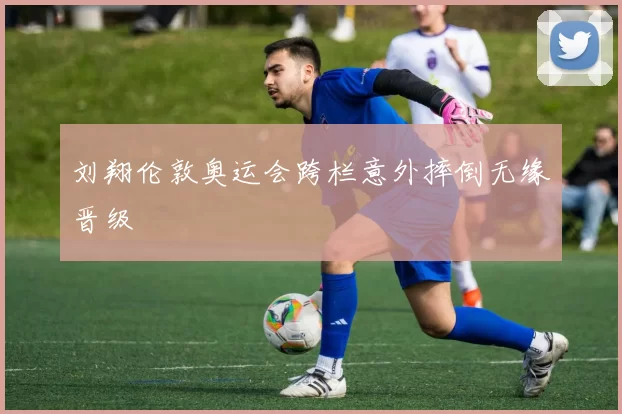 刘翔伦敦奥运会跨栏意外摔倒无缘晋级