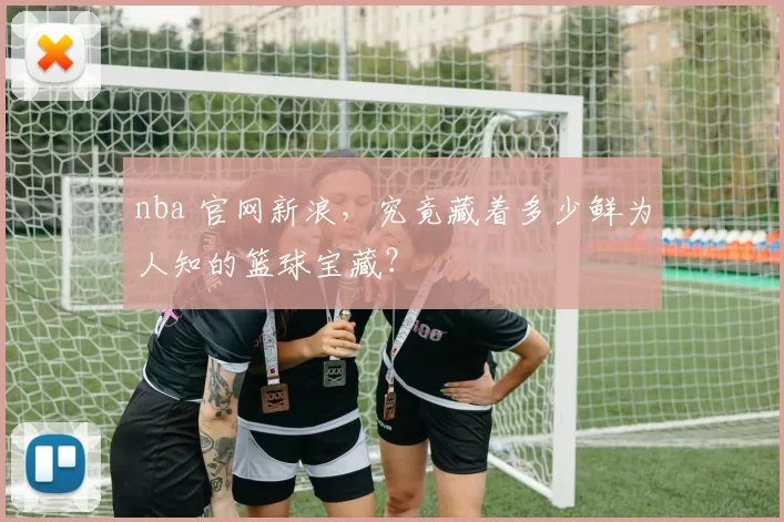 nba 官网新浪，究竟藏着多少鲜为人知的篮球宝藏？
