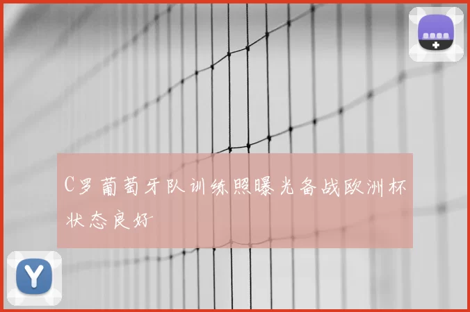 C罗葡萄牙队训练照曝光备战欧洲杯状态良好