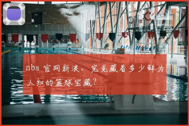 nba 官网新浪,究竟藏着多少鲜为人知的篮球宝藏?